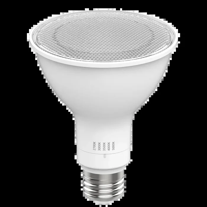 RAB 15W LED PAR30L Lamp E26 Base CCT Selectable 2700K/3000K/3500K/4000K/5000K 40 Degree Beam Angle 90 CRI Frosted (PAR30LFA-15-9CCT-40D-DIM)